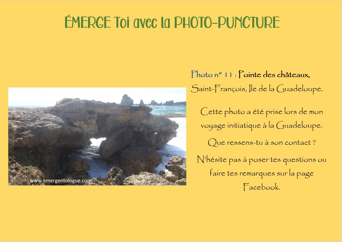 commentaires_photo11