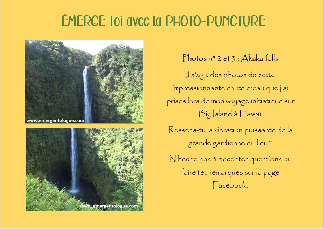 commentaires_photo2